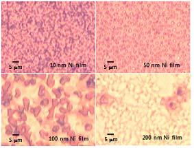 (1000 C for 7 min). B. Properties of as-grown graphene films on Ni Figure S3.
