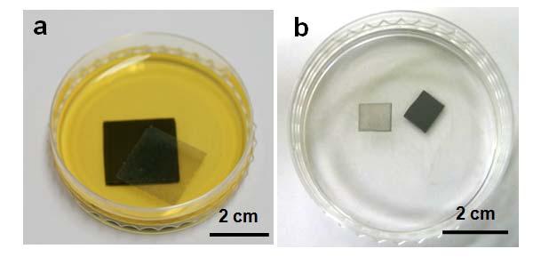 4 Fig. S5. Photograph images of large-scale graphene films floating on the solution. a, A photograph of the PMMA-supported graphene film floating on FeCl 3 etching solution.
