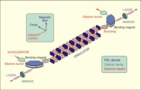 electrons emit bent by magnetic field Produce synchrotron radiation (light) No energy levels Free Electron