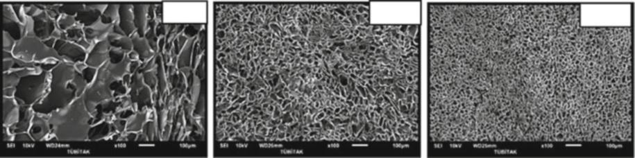 130 O. Okay and V.I. Lozinsky -5 o C -10 o C -22 o C Fig. 12 SEM images of fibroin cryogel networks formed at the various temperatures (T prep ) indicated. Scale bars: 100 μm.