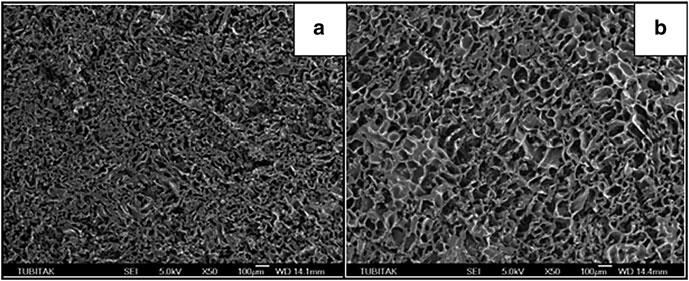Synthesis and Structure Property Relationships of Cryogels 131 Fig. 13 SEM of PIB networks formed at T prep ¼ 10 C under (a) fast and (b) slow freezing conditions.
