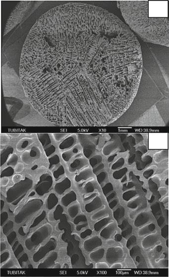 132 O. Okay and V.I. Lozinsky a c b Solvent crystals Polymer solution Fig. 14 (a, b) SEM of PIB network formed in cyclohexane at T prep ¼ 2 C. Reaction time ¼ 24 h; S 2 Cl 2 ¼ 5.7 %.