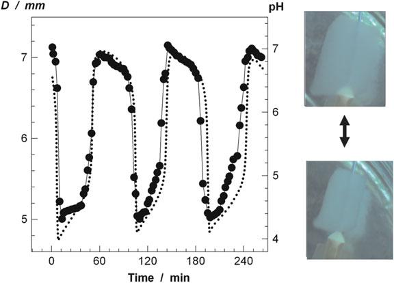 Synthesis and Structure Property Relationships of Cryogels 147 Fig. 22 Variations in ph (dotted curves) and gel diameter D (symbols) as a function of time. Flow rate k ¼ 510 4 s 1.