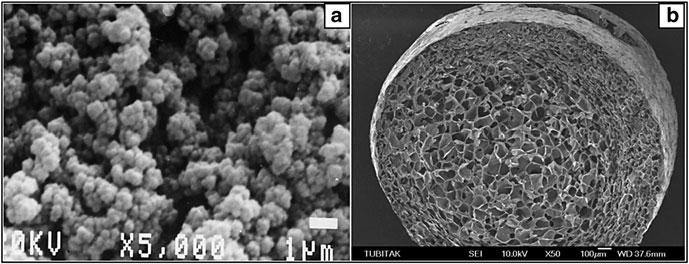 Synthesis and Structure Property Relationships of Cryogels 107 Fig. 1 SEM images of macroporous networks formed by (a) phase separation and (b) cryogelation techniques.