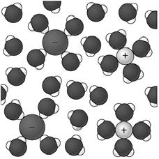How water dissolves salt When salt is placed in water, the positive and negative ends of the water molecules are attracted to the negative chloride and positive sodium ions.