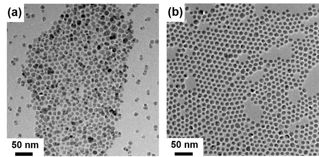 Fig. S1 TEM images with a low magnitude of typical (a) Ag-Ni snowman