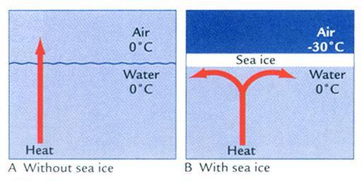 Sea Ice (from Earth s Climate: Past and Future) One major climate effect of sea ice is to seal off the underlying ocean from interaction with the atmosphere.