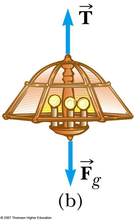 Equilibrium, Example 1 A lamp is suspended from a chain of negligible mass The forces acting on the lamp are the