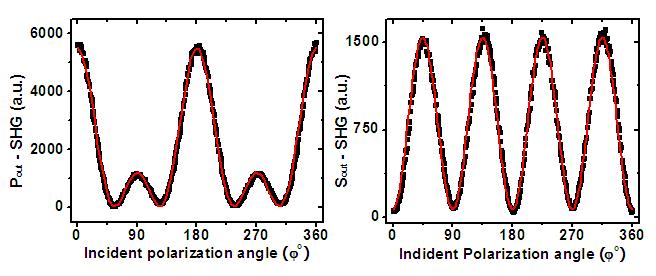 Figure 3.7: P- and S-polarized SHG measurements with respect to incident polarization angle after saturation. The red solid curves are fitting results using Eq. (3.20) and Eq. (3.22).