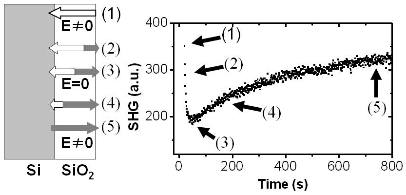 Figure 4.9: TD-SHG measurement in Boron doped Si/SiO2. The oxide thickness is about 2 nm. Resistivity: 0.001-0.009 Ωcm [9]. from boron induced charge traps as indicated by (1) in Fig. 4.9. The direction of the built-in DC electric field is from the SiO2 to the silicon substrate.