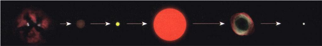 Red Giant The energy produced in the thin hydrogen layer forces the outer layers of the star to cool and expand and the star becomes a red giant.