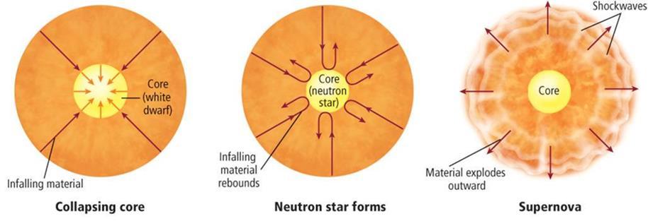 Life Cycles of Massive Stars Supernova Formation the outer layers of a star collapse into the neutron core pressure