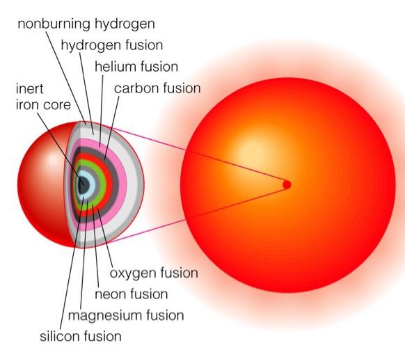 point, the core has a mass larger than the Sun compressed into a sphere of radius 10-20