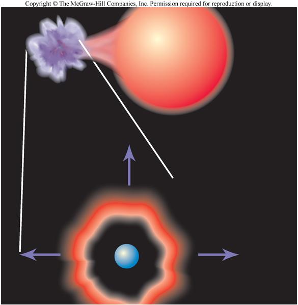 Chapter 13, Part 2: The Evolution of Binary Stars Describe the mechanism of mass transfer in binary star systems.