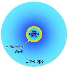 Giant Phase Contraction Junction When the hydrogen is gone in the core, fusion stops Core starts to contract under its own gravity This contracting heats the core, and hydrogen fusion starts in the
