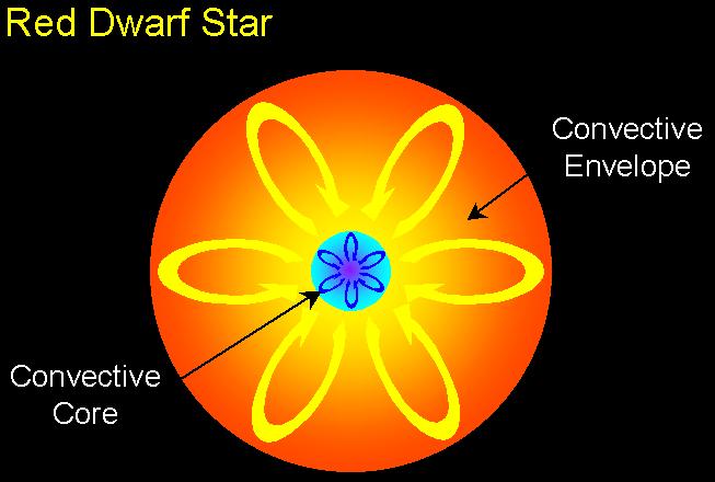 dwarf stars (less than 0.4 M Sun ) Low mass stars (0.