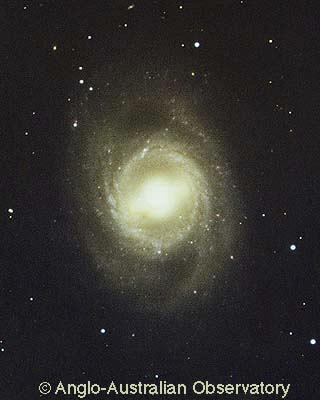 the arms NGC 3351