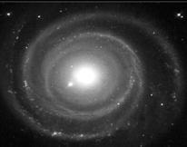 NGC 1365 M100