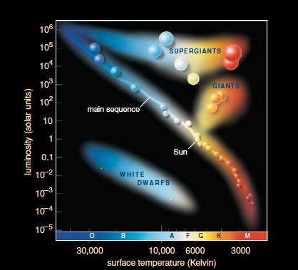 6 Main-Sequence Stars: A long adulthood Having shed their birth clouds, young stars now