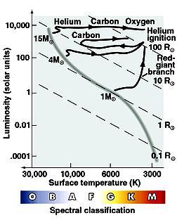 Evolution of More Massive Stars At each stage the temperature increases reaction gets faster Last stage: fusion of iron