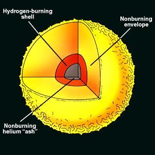 Stage 8: Hydrogen Shell Burning Cooler core imbalance between pressure and gravity core shrinks hydrogen shell