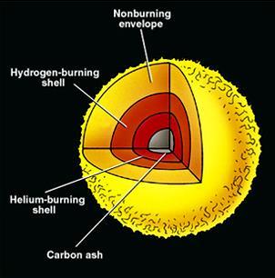 Stage 11 Helium burning continues Carbon ash