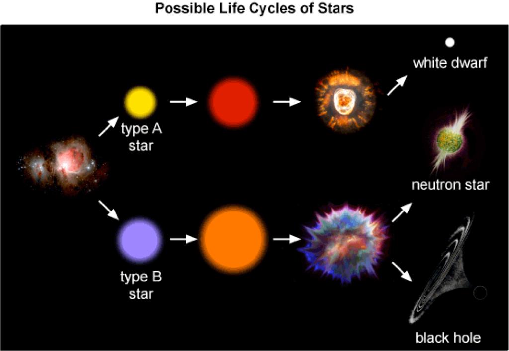 Daily Science 04/04/2017 Which statement best describes the difference between type A stars and type B stars as shown in the diagram? a. Type A stars burn for a shorter amount of time than type B stars.