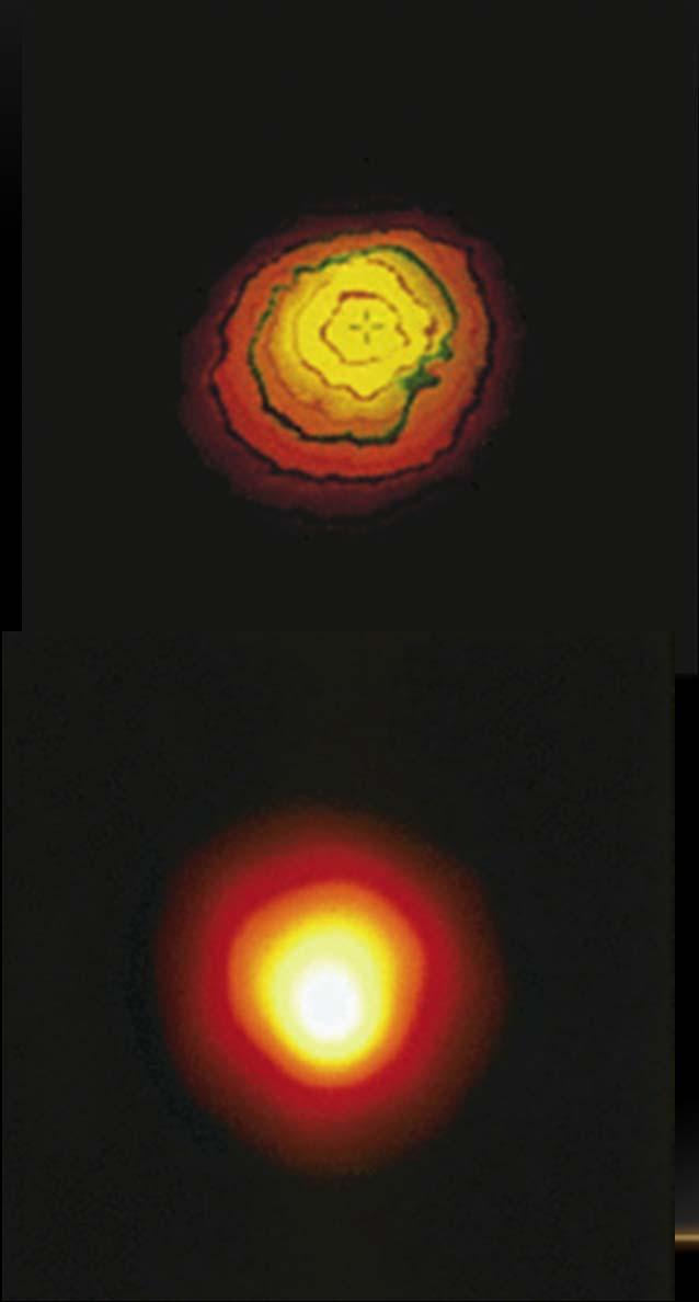 BETELGEUSE S DISK Visible light HST image Size of Earth s Orbit!