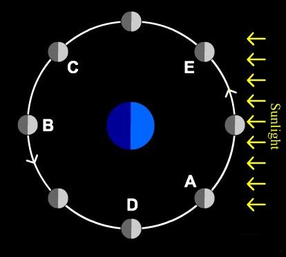 iclicker question Moon shown in eight positions in its orbit.