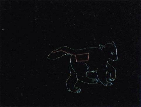 Constellations can vary greatly between cultures Tail Big Bull, of Celestial Dipper man, a bear hippopotamus,