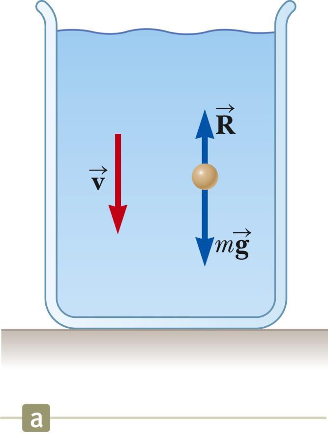 Resistive Force Proportional To peed, Example Assume a small sphere of mass m is released from rest in a liquid.