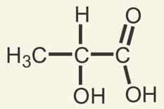 molecular models to see this Mirror-image Forms of Lactic Acid When H and
