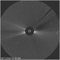 Types of Solar Activity Sunspots Solar flares Solar prominences