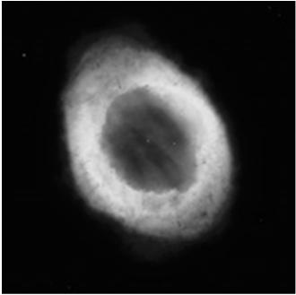 a planetary nebula.