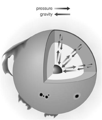 Gravitational Equilibrium The compression inside the Sun generates temperatures that allow fusion The fusion reactions in turn generate outward pressure that balances the inward crush of gravity The