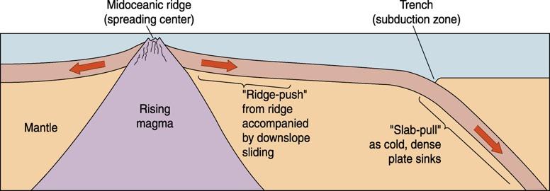 Ridge-Push and Slab-Pull Model Near subduction zones, oceanic crust is cold and dense, and tends to
