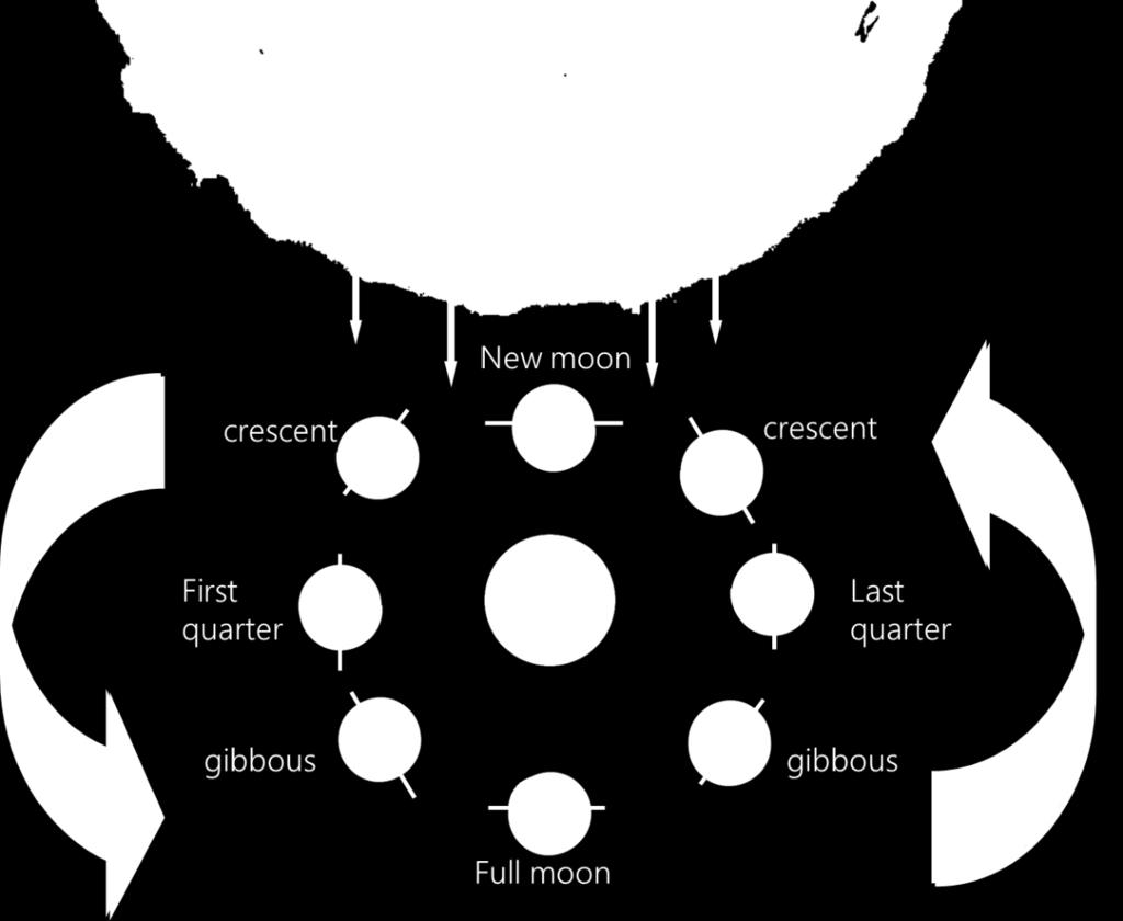 The Lunar cycle and the phases of the moon As the Moon revolves around the Earth it appears to change shape.