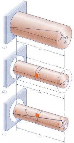 Shearing Strain in Circular Shaft under Torsion Within each cross-section, NO change Along axial direction, there is strain (deformation) due to axial shear zx Define the following terms L Length