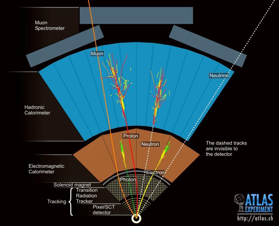 + Discovering the Higgs Boson The ATLAS Detector Muon spectrometer: tracks muons