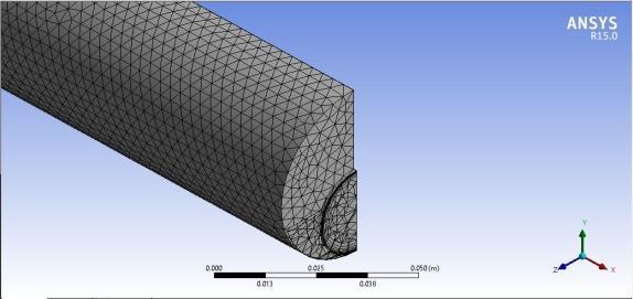 Meshing Boundary Conditions Figure.4.