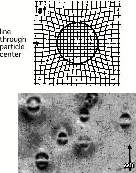 example: Co precipitates in CuCo bright-field image distortion field introduced by the particles (plane bending) changes diffraction conditions in the matrix»coffee bean«contrast principle of CTEM: