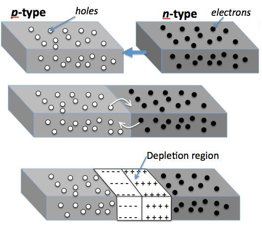 p-n Junction The key to building useful devices is combining p and n type semiconductors to form a p-n junction Electrons and holes diffuse across junction due to large concentration gradient On