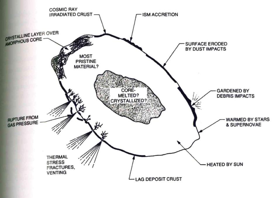Cometary nucleus Schematic of the physical processes at work Comet composition Comets exhibit both volatile and refractory compounds Most