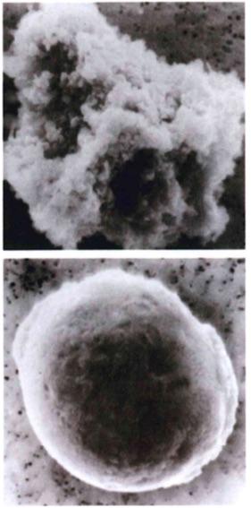 Top: grain of chondritic composition Bottom: Fe-S-Ni sphere Image sizes: 30 μm Interplanetary dust Zodiacal light Zodiacal light is due to sunlight scattered by a broad interplanetary dust cloud