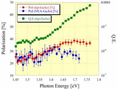 Difference of each polarization Difference in generation process between NEA and FE process of extracting into a vacuum Dependent on excitation energy (Phenomena of hot-electron) @hν > 36 mev