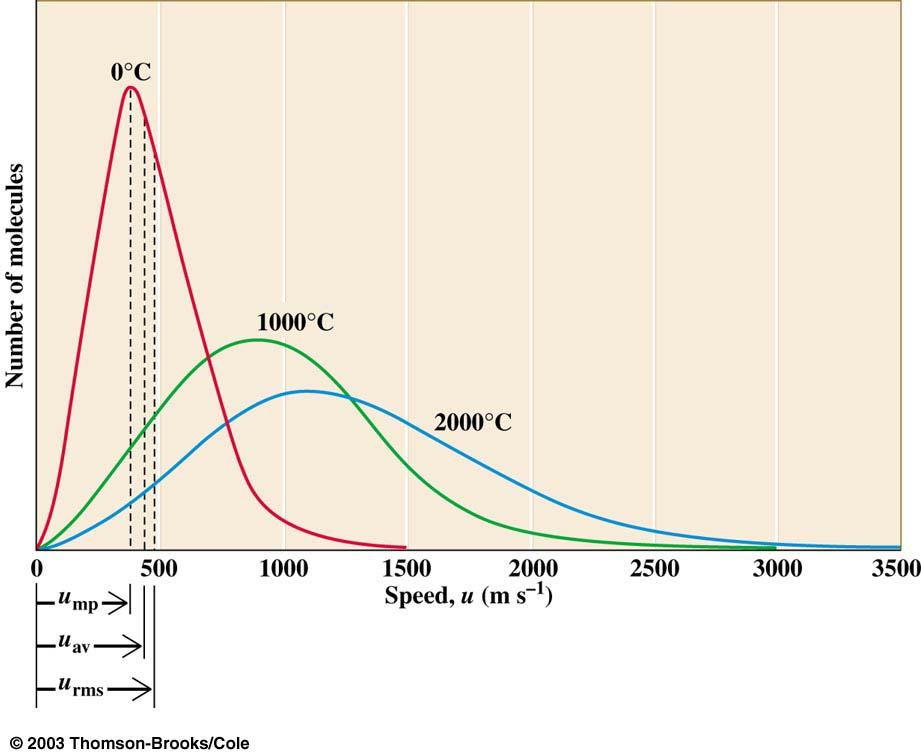 Speed Distribution Curves Maxwell-Boltzmann speed distribution Temperature is a measure of the average kinetic energy of