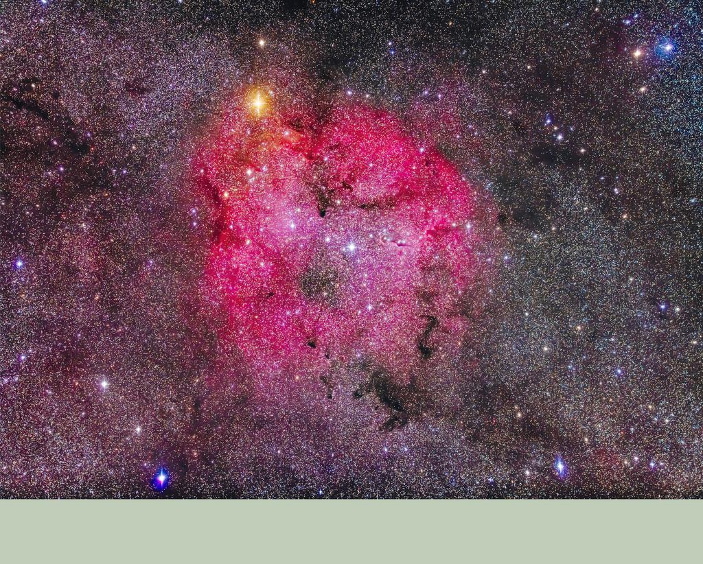 The summer and autumn Milky Way is peppered with glowing nebulas like this one, called IC 1396 in Cepheus, a region of star formation in the Perseus