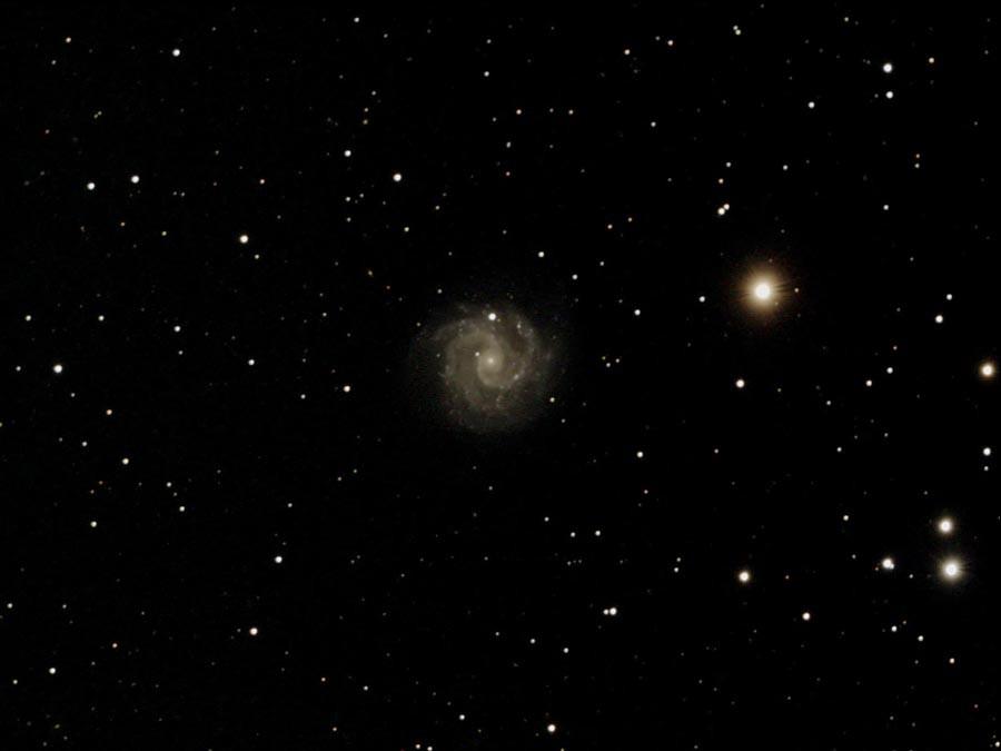 My image of the galaxy is a 40-minute exposure taken with a 190 mm (7.5-inch) f/5.3 Maksutov-Newtonian with an SBIG ST-2000XCM CCD Camera. The brightest star in the image is GP Ursae Majoris.