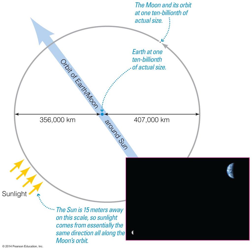 Why do we see phases of the Moon?
