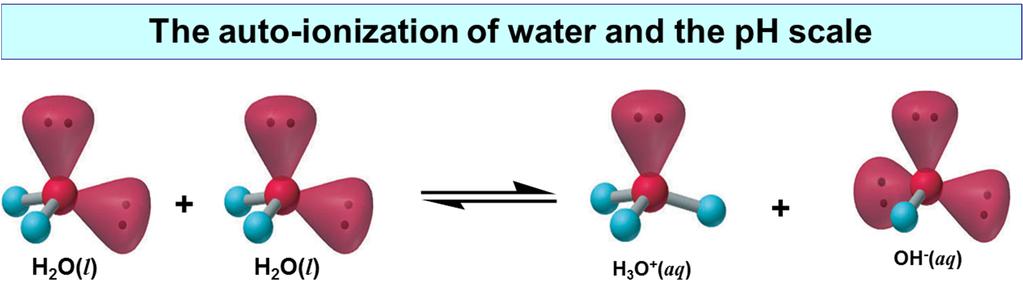 Because water is amphiprotic, one water molecule can react with another to form an OH ion and an H 3 O + ion in an autoionization process: 2H 2 O (l) H 3 O + (aq) + OH (aq) Equilibrium